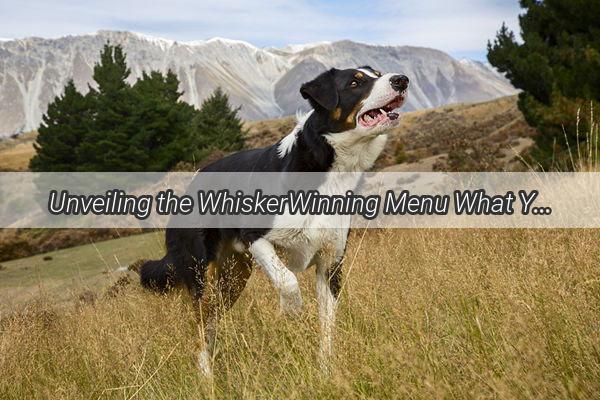 Unveiling the WhiskerWinning Menu What Your 50DayOld Pup Can Tantalize